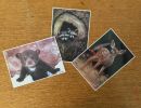 post cards   3   